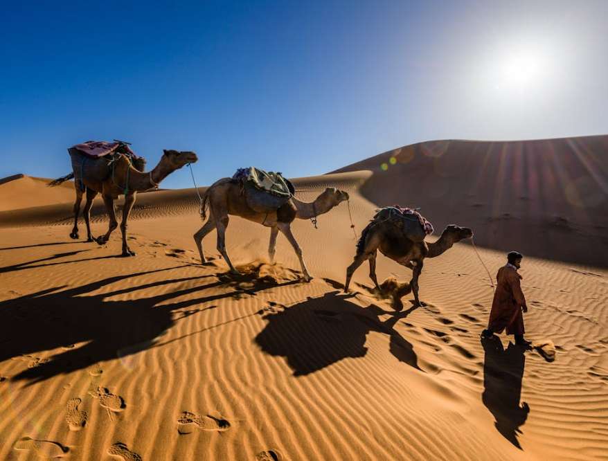 rquitetura e CulturaZara, uma das cidades imperiais de Marrocos, é uma verdadeira fusão de história e cultura vibrante. Os lugares imperdíveis que compõem sua arquitetura apenas atraem visitantes que buscam explorar as ricas tradições e o legado histórico que essa cidade fascinante tem a oferecer